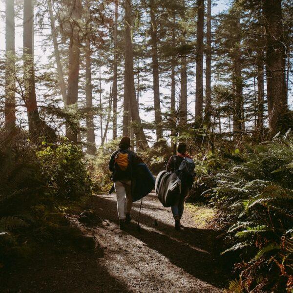 Hiking, trails, nature, outdoor Portland Oregon