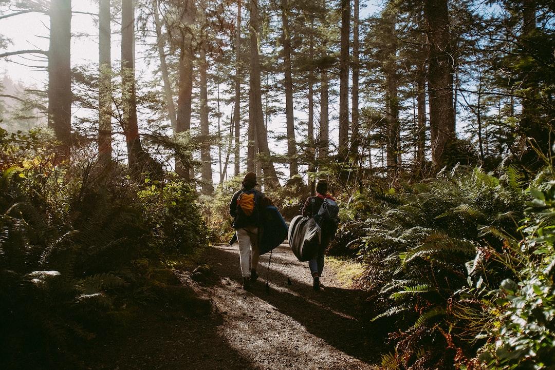 Hiking, trails, nature, outdoor Portland Oregon