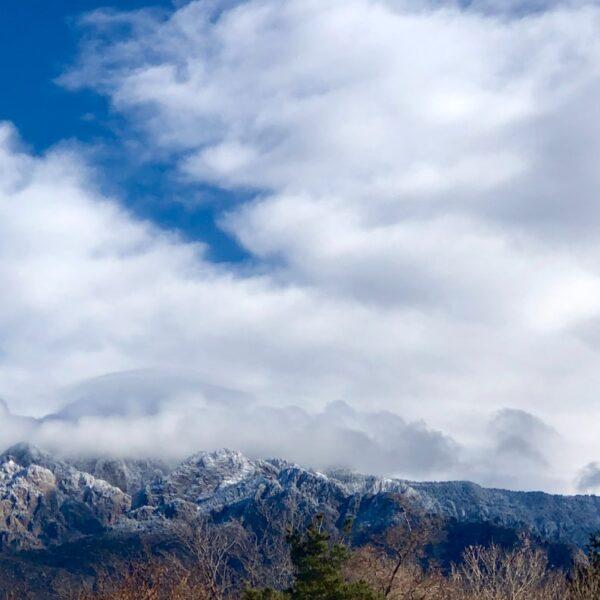 Albuquerque New Mexico